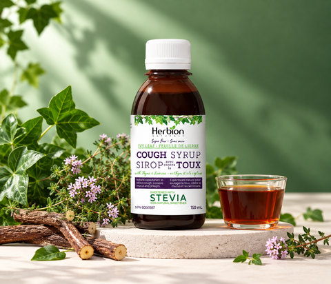 Herbion Ivy Leaf Cough Syrup 150 mL botanical product photograph