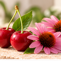 Cherry and echinacea botanical composition